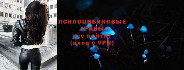 бошки Армянск